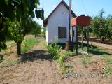 Eladó zártkerti gyümölcsös Mélykúton2