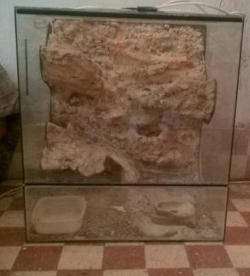 Eladó berendezett terrárium0