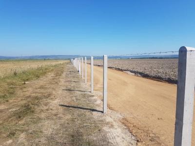 Vadháló Drótfonat Betonoszlop Kerítés Építés Drótkerítés Kerítésdrót0