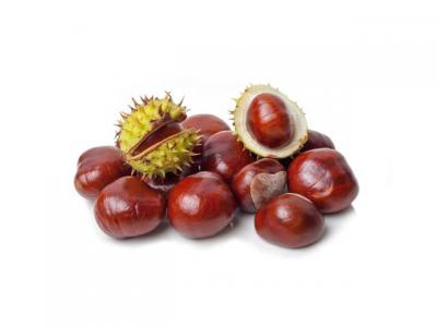 Értékesítése Vadgesztenye gyümölcs ömlesztve a gyártótól a legjobb áro0