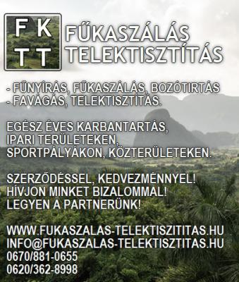 Fűkaszálás-Telektisztítás0