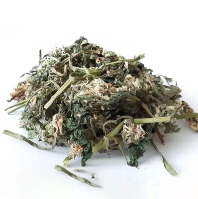 Értékesítése Süket csalán virág ömlesztve a gyártótól a legjobb áron0