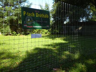 vadháló,drótfonat,kerités,oszlop,épités0