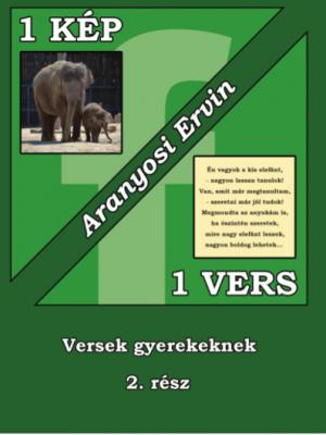 Aranyosi Ervin: 1 kép - 1 vers sorozat második része megrendelhető0