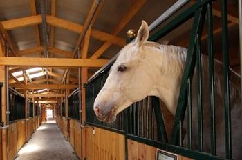 326. Lóistálló karbantartó NÉMET MUNKA Rosenheim0