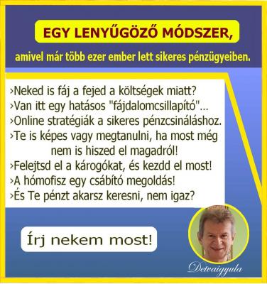 A pénzszerzés mesterfogásai...0