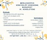 Mérlegképes könyvelőt keresünk Budapest IX. kerületébe