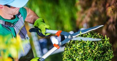 Kertész álláslehetőség0