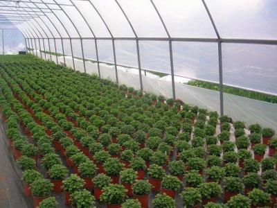 Fóliasátor építése0