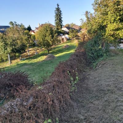 TATABÁNYÁN BÁNHIDÁN TELEK ELADÓ!0