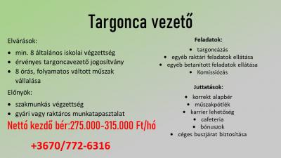 Targoncavezető Zalaegerszeg0