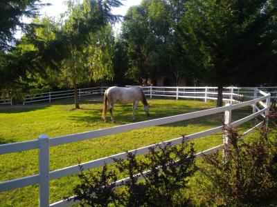 Műanyag karám elemek közvetlenül a gyártótól eladók!0