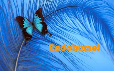 Jól fizetett erotikus casting és filmes munkák hölgyeknek0