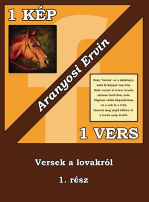 keresés Aranyosi Ervin: 1 kép - 1 vers sorozat 6. része a lovakról ka0
