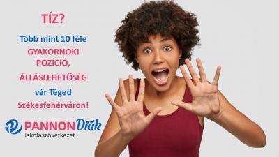 Gyakornoki lehetőségek Székesfehérváron0