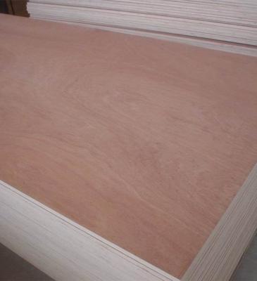 Bükk rétegelt lemez0