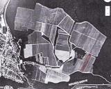 Eladó 11.700 m2-es szőlő ültetvény Szendehelyen.2