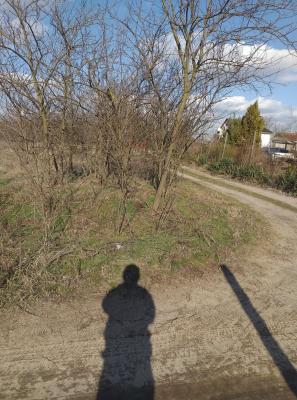 Kecskeméten Telek Eladó0