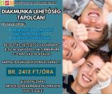 Diákmunka Tapolcán!!