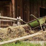 Istállózó osztrák állás0