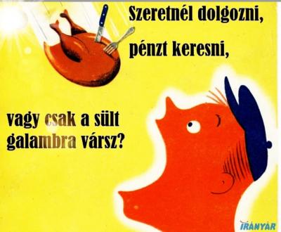 Otthonról végezhető munka!0