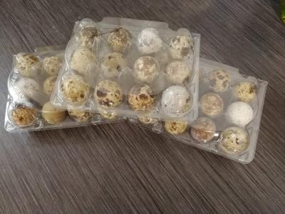 Fürj tojás eladó0