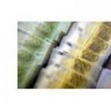 Komoly ajánlat közösségi kölcsön