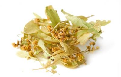 Értékesítése Hársfa virágok ömlesztve a gyártótól a legjobb áron0