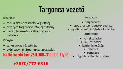 Targoncavezető Zalaegerszeg0