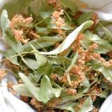 Értékesítése Levél+Hárs Virág ömlesztve a gyártótól a legjobb áron2