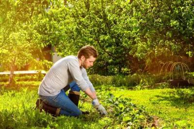 Írországba egy FÉRFI munkaerőt keresünk novemberi kezdéssel0
