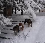 Megállítom az óra uralmát az életem felett1