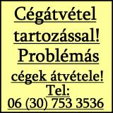 Köztartozás? Házipénztár? Tagikölcsön? Könyvelő Probléma? Cégátvétel